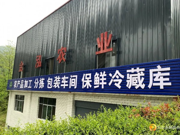 温水镇：健全麻羊产业链 联动发展促振兴